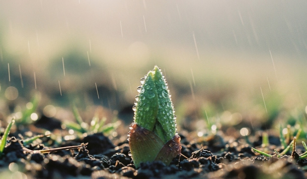 プロダクト・自社サービス